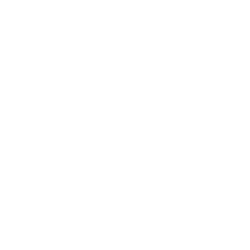 life stylist